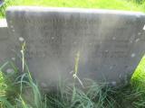 image of grave number 794478